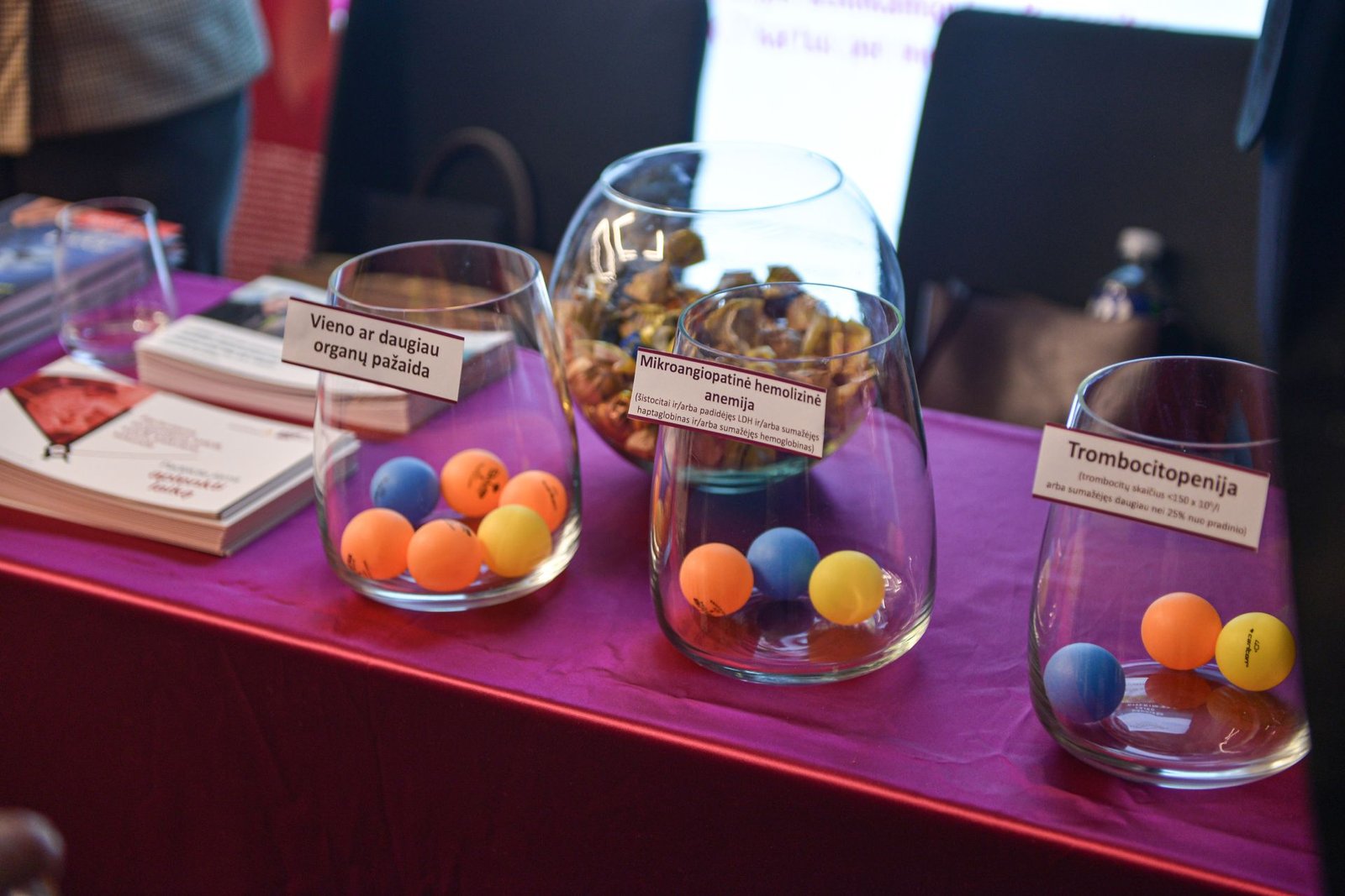 dizalizes-forumas-2026-26